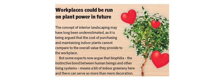 Workplaces could be run on plant power in the future