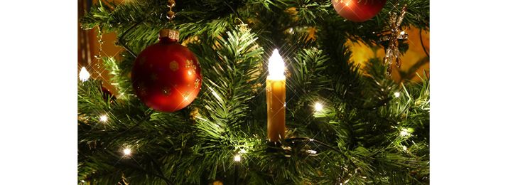 11 Christmas tree facts yule never believe!