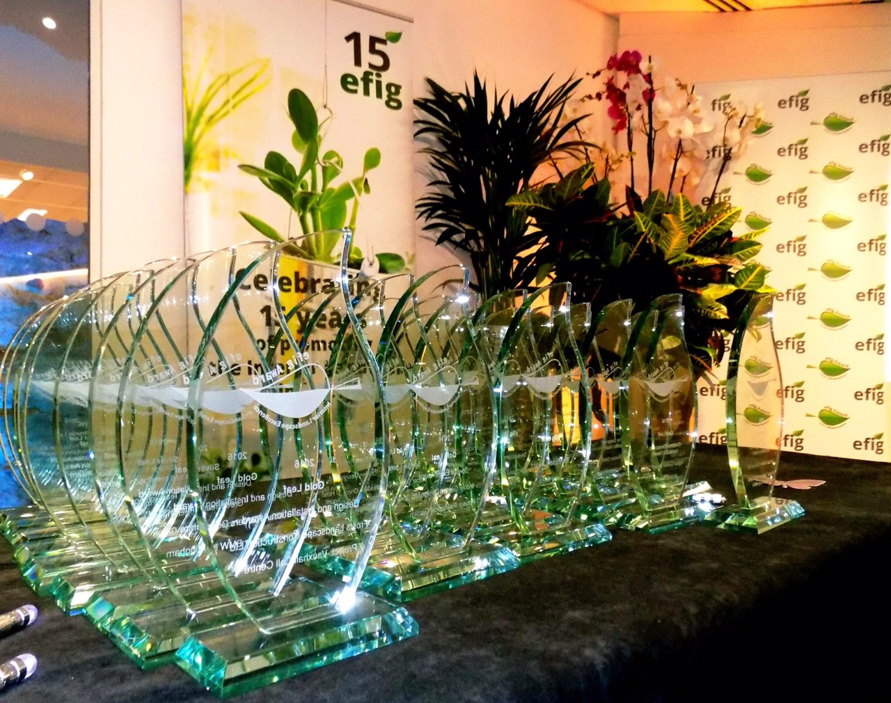 Green Team Interiors Proud Winners at Efig Awards 2017