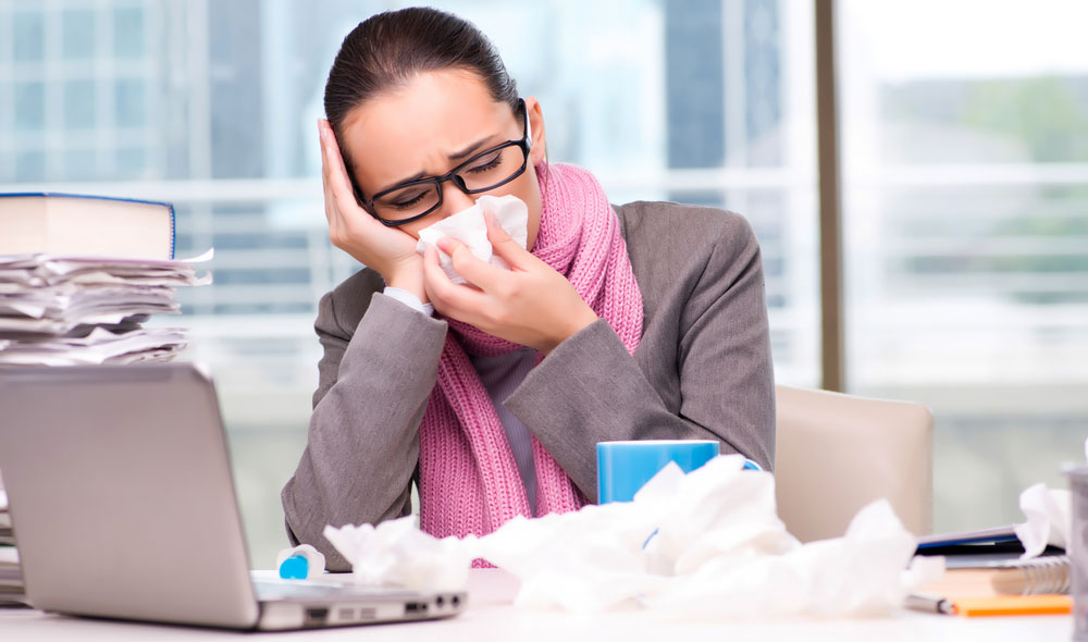 Why investing in plants for your office can help reduce staff sickness.