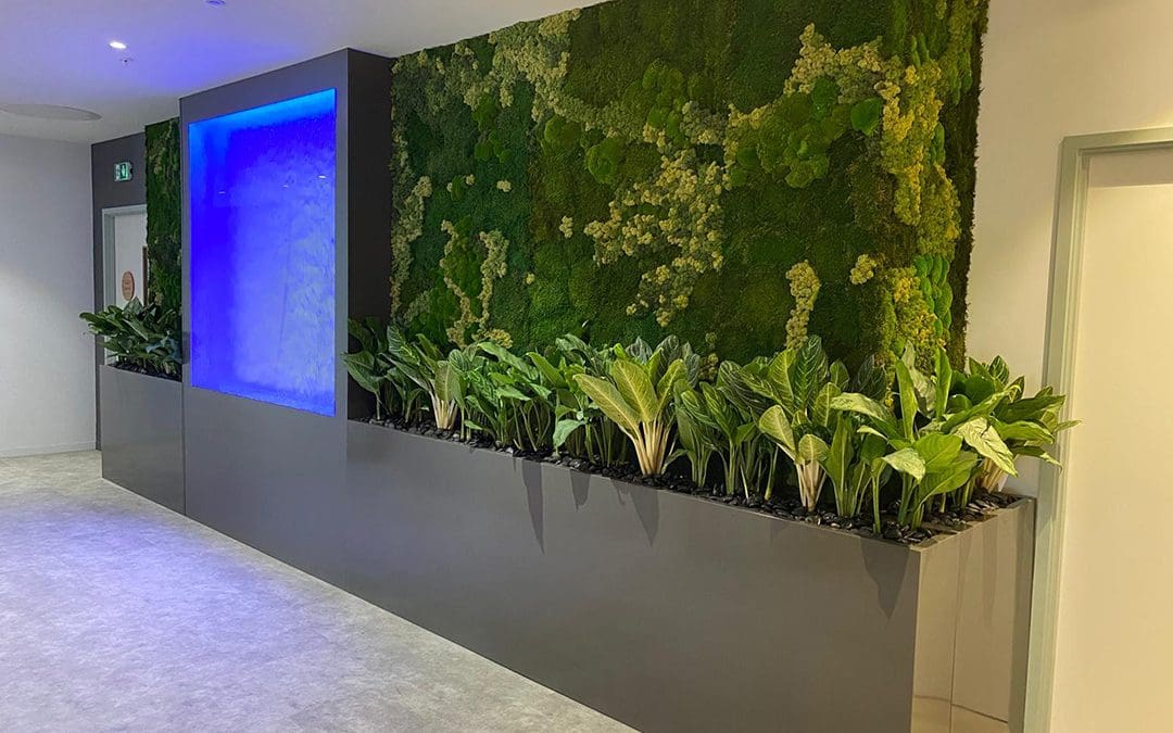Moss walls, the craze that shows no sign of slowing down